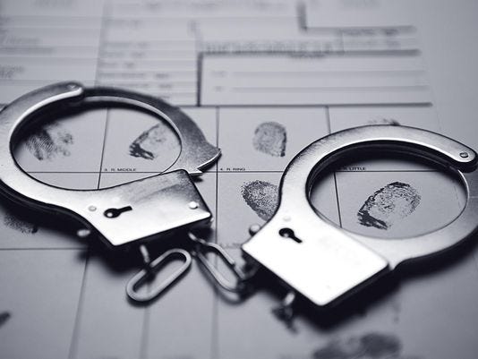 Teen arrested in Fulton County burned deer case