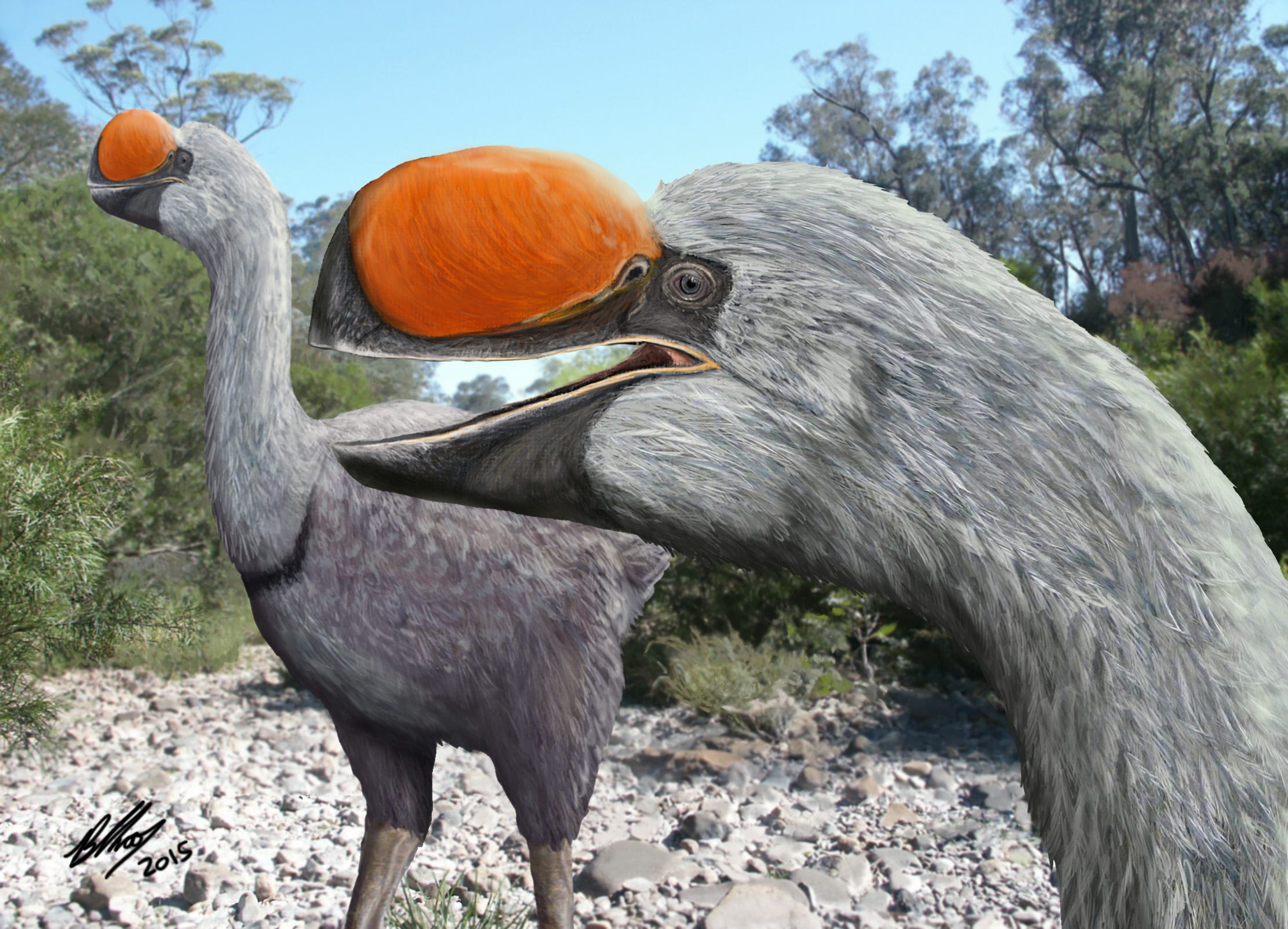 This is one Big Bird you wouldn't want to run into | kvue.com