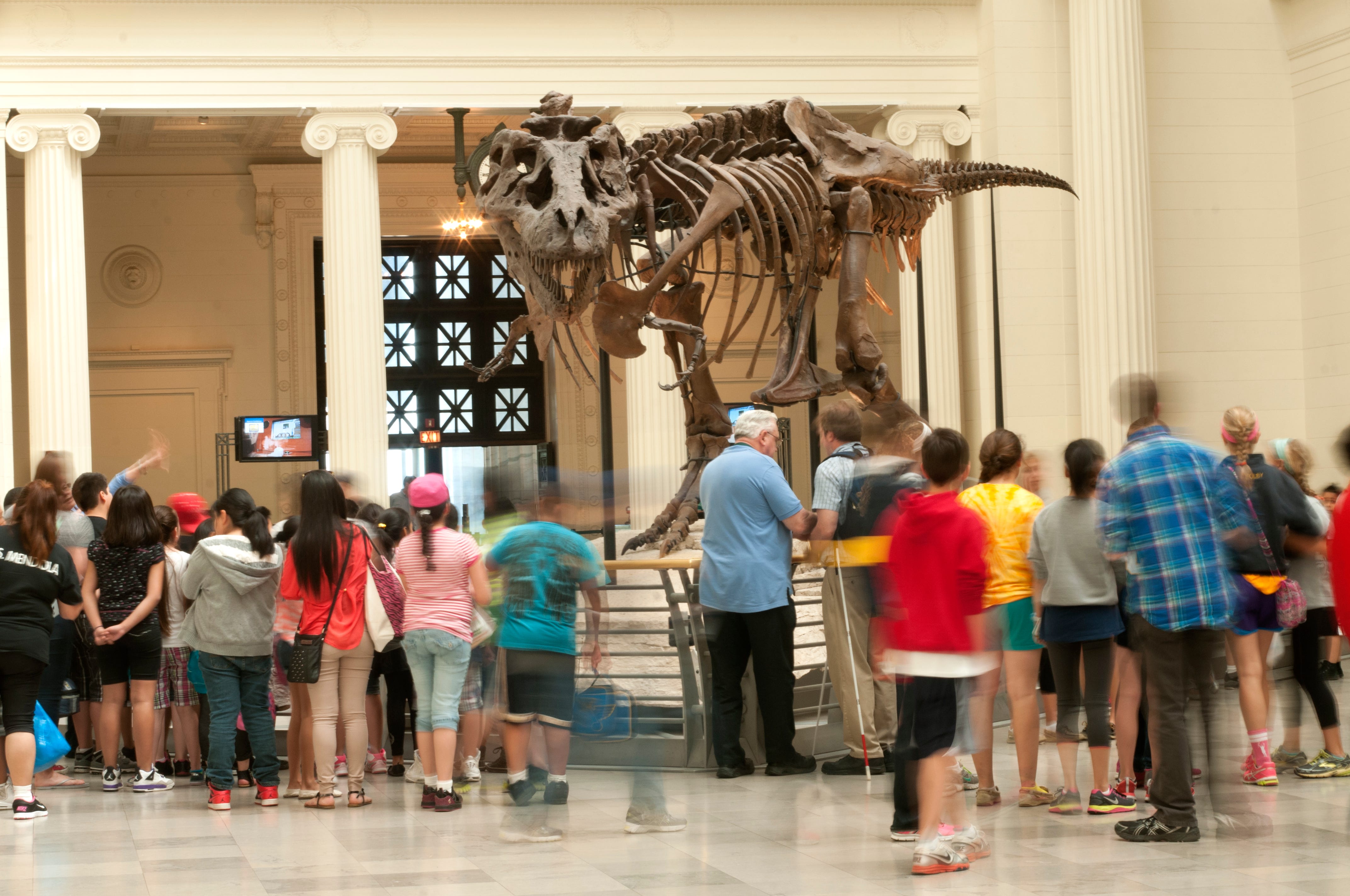 National Museum Day: 20 most-visited museums in the USA