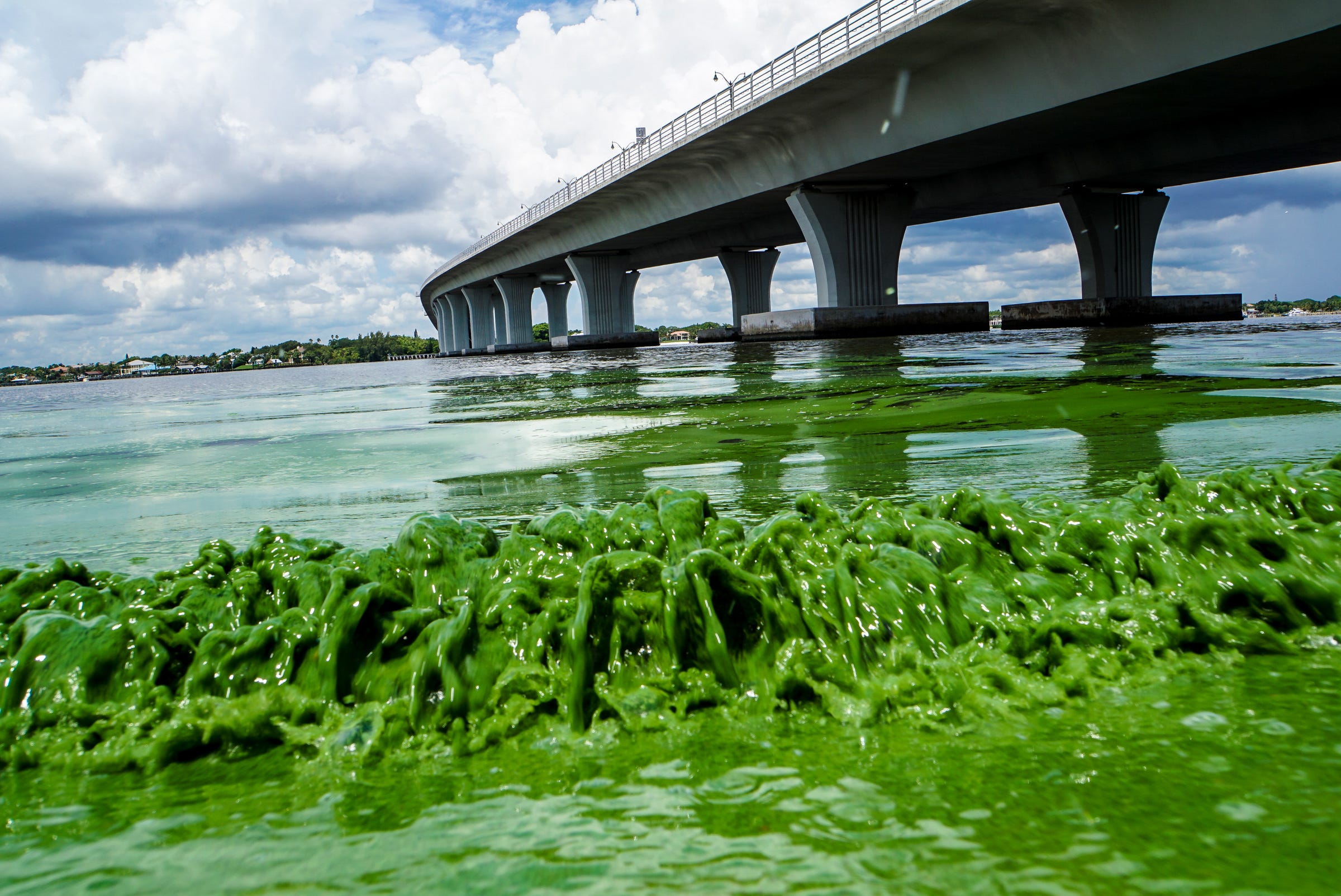 The Business Side of Green How toxic green slime caused a state of