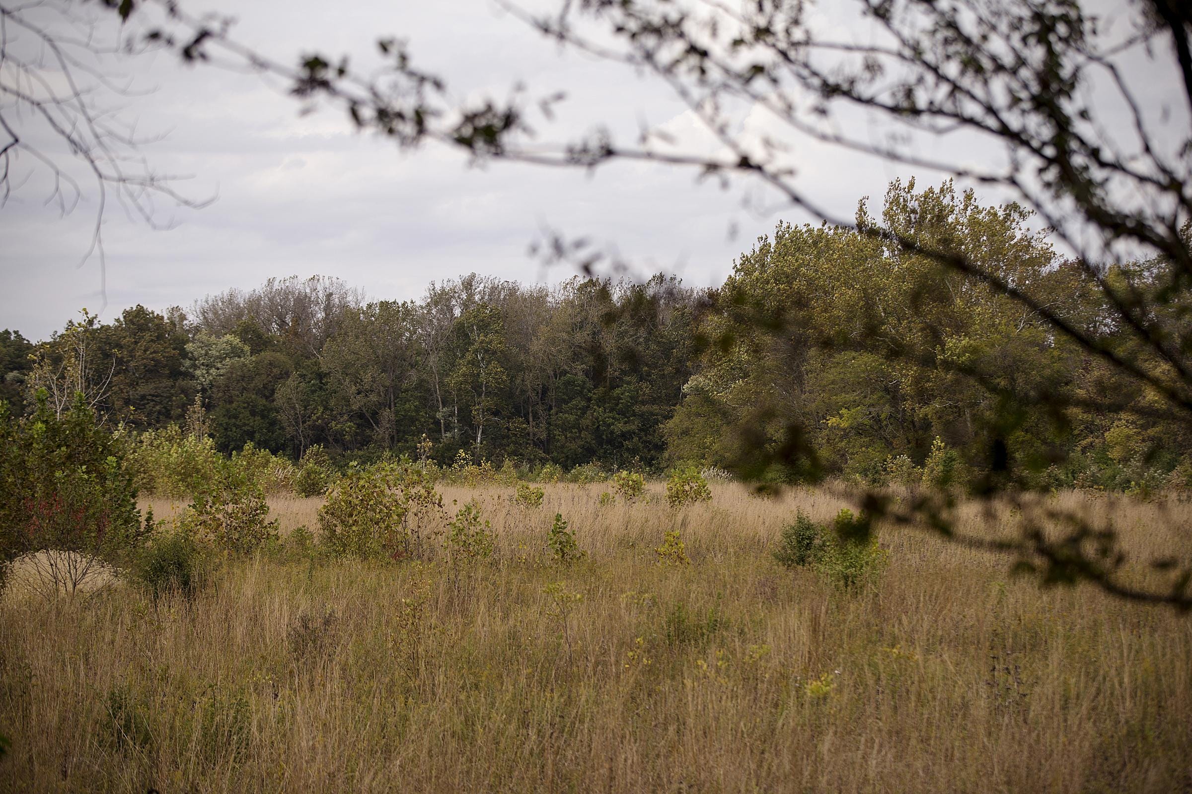 Hamilton County to return artifacts excavated from Strawtown park to Miami tribe