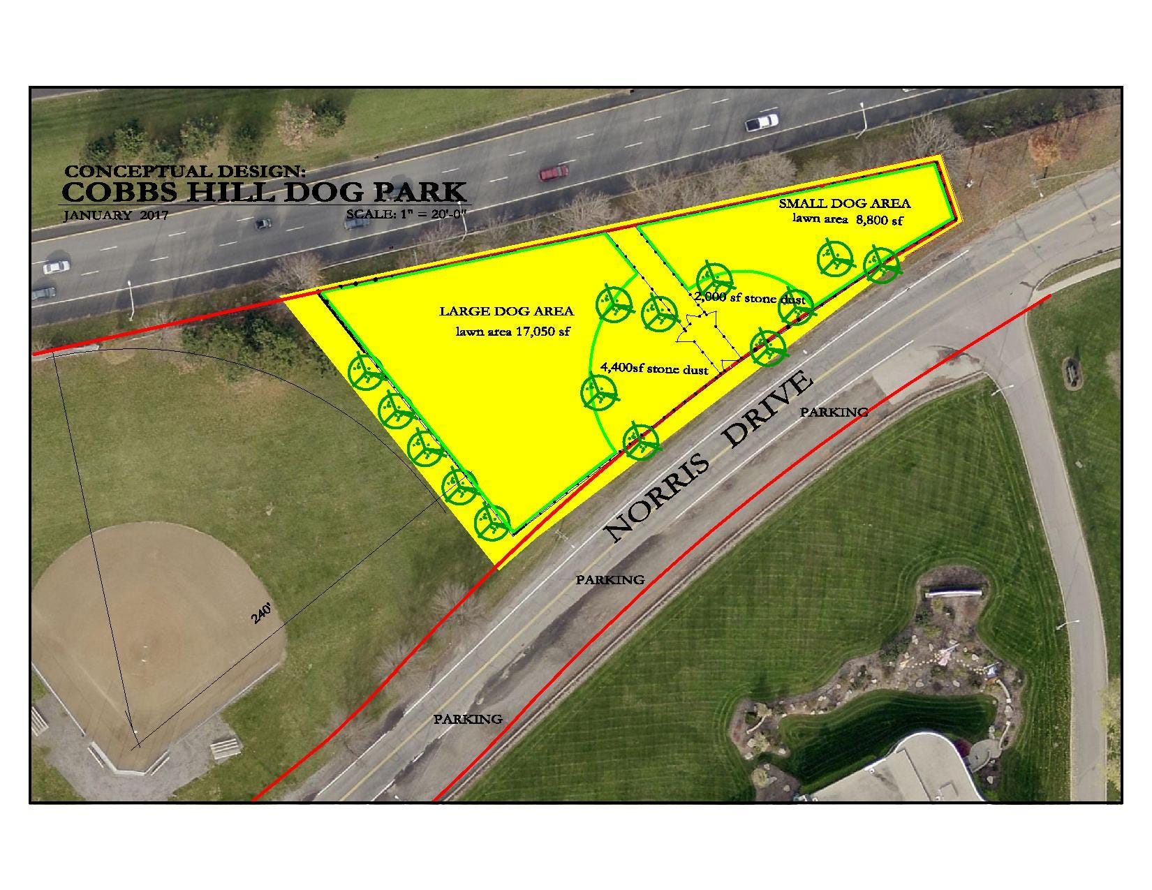 Cobbs Hill dog park gets OK from Rochester City Council