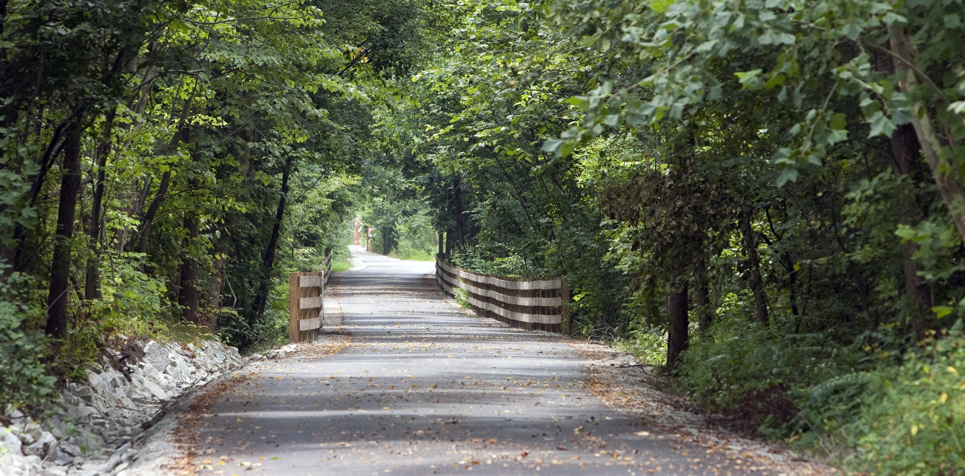 Indianapolis police seek Monon Trail flasher