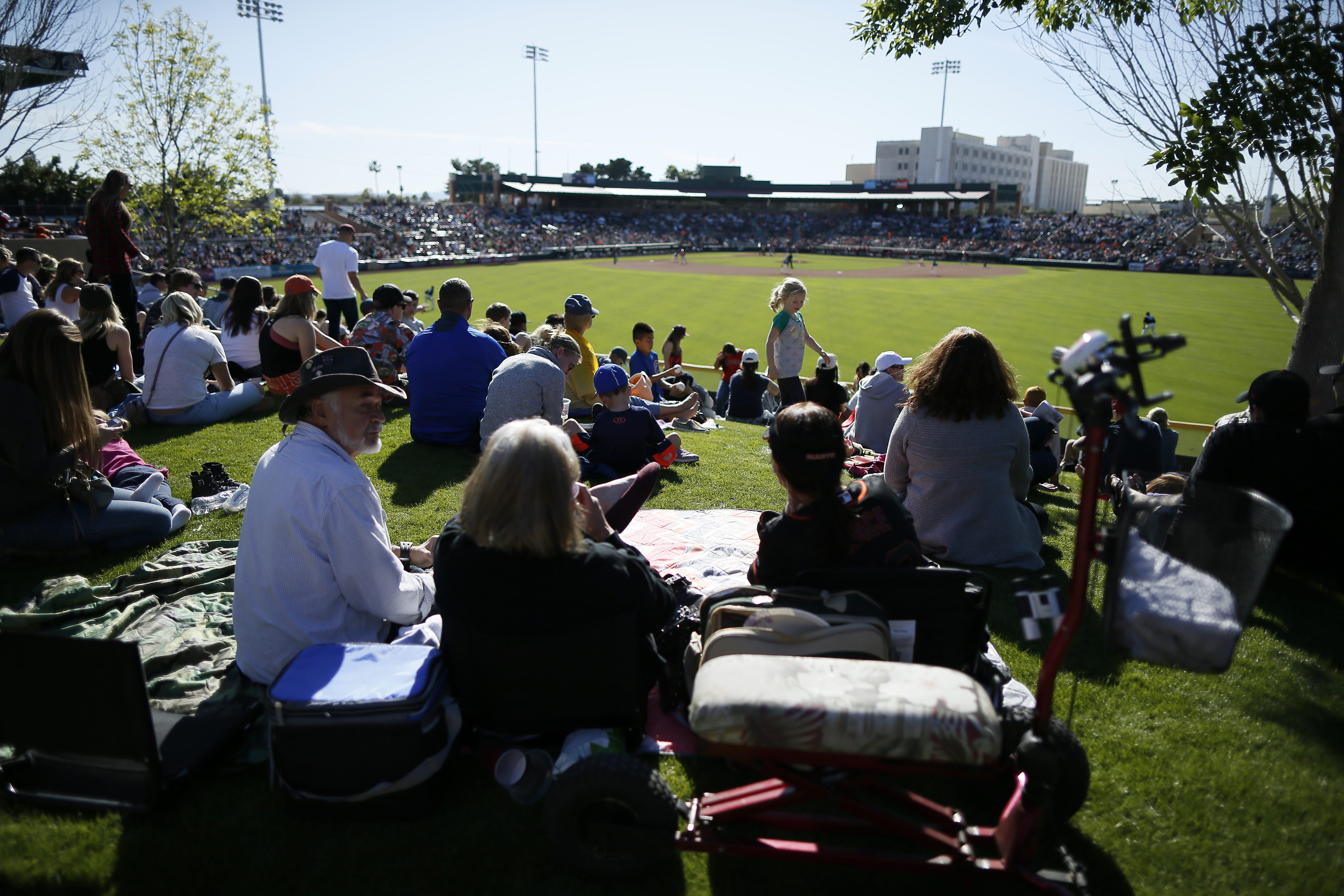 Spring training kicks off with pitch-perfect spring weather