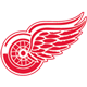 Výsledek obrázku pro detroit red wings logo