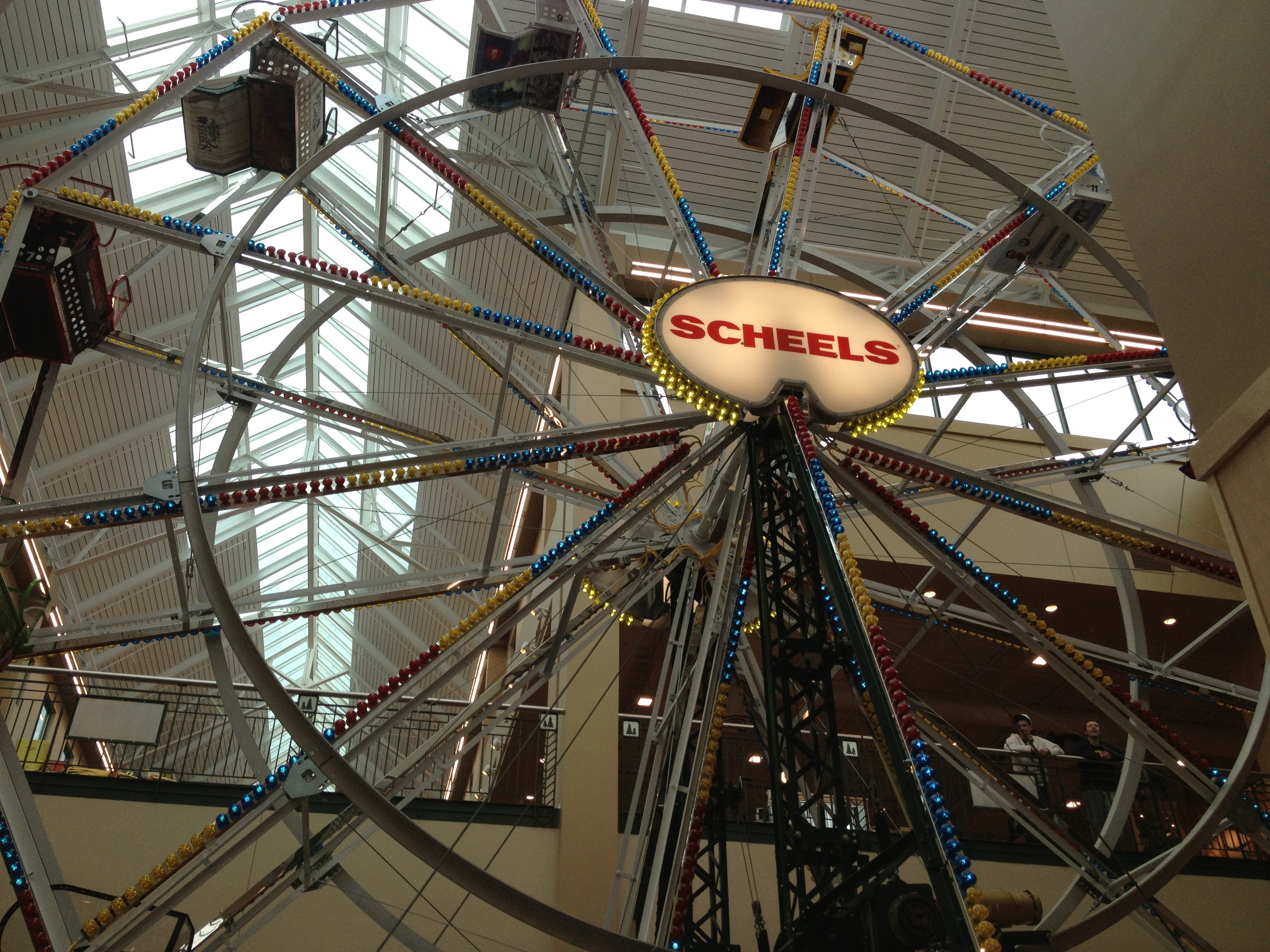 Scheels Time Simplicity - xg6q6qr