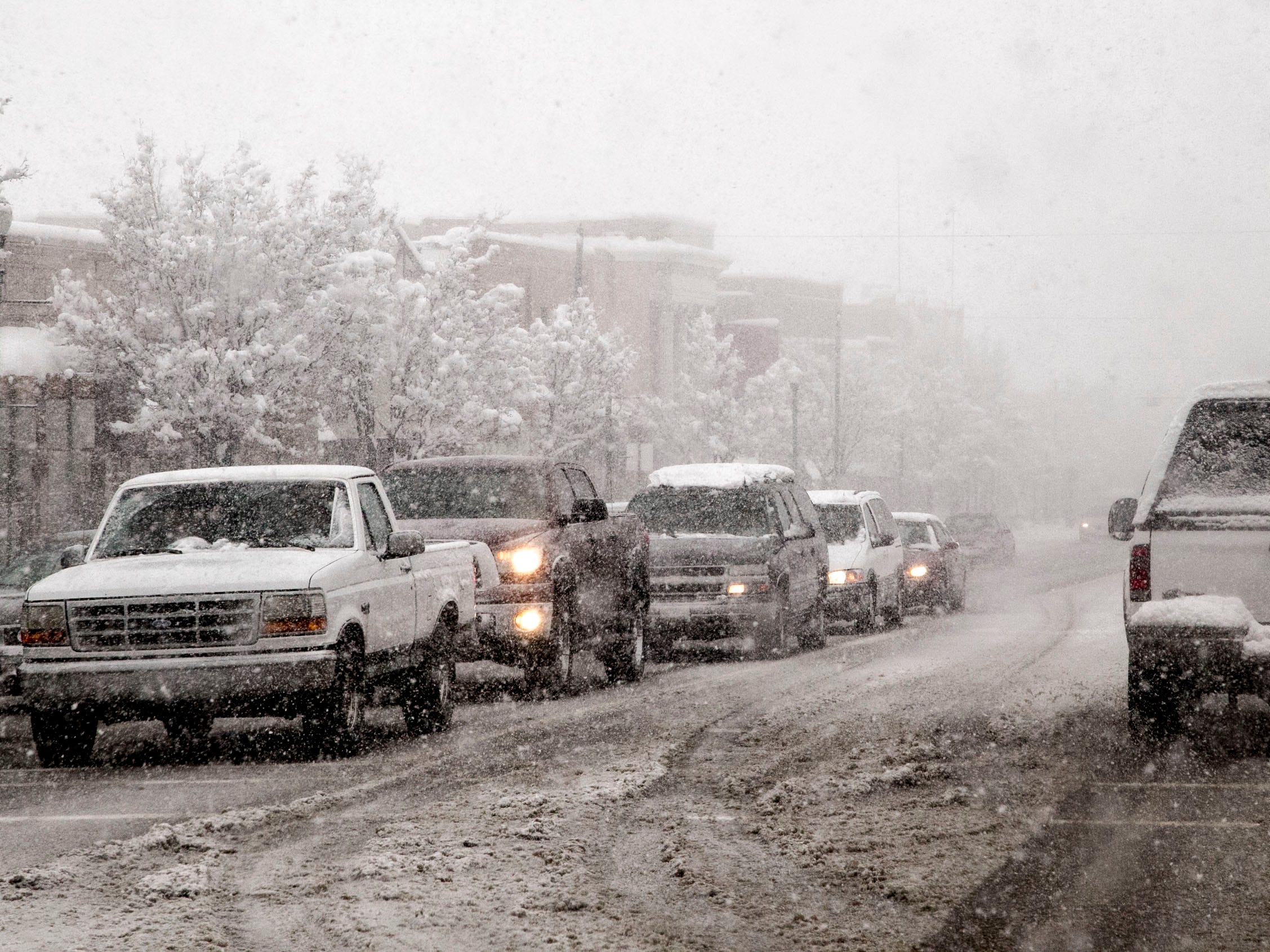 No white Christmas Cedar nears 40year record for latest snowfall