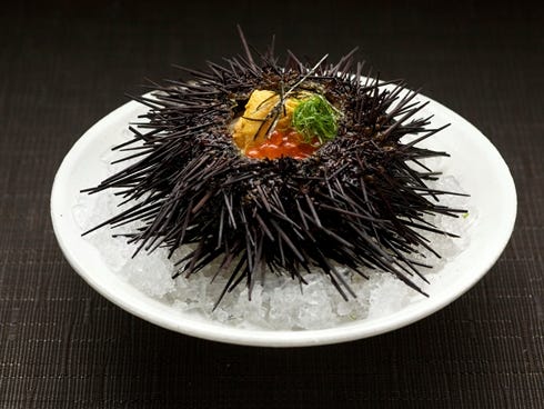 Raku - Live Sea Urchin