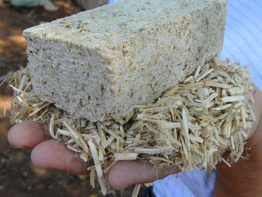 090910 industrial hemp