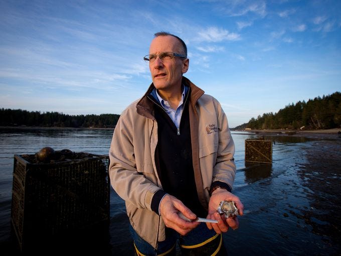 Bill Dewey of Taylor Shellfish Farms, in Shelton, Wash., shucks a freshly harvested Pacific oyster. Plumes of acidic water from the deep ocean threaten the growth of very young oysters.