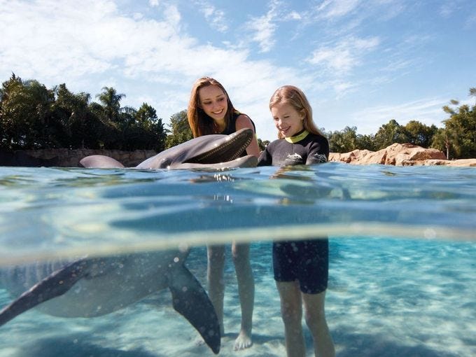 With guest access restricted to 1,300 per day, Discovery Cove feels more like an exclusive resort than a theme park. Without crowds to worry about, you'll get to enjoy up-close animal encounters with dolphins, sting rays, tropical fish, sea otters and exotic birds. It's all-inclusive too, so you won't have to worry about food, towels or snorkeling equipment.