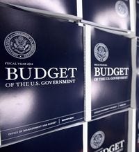 Copies of the Obama administration's proposed 2014 federal budget.