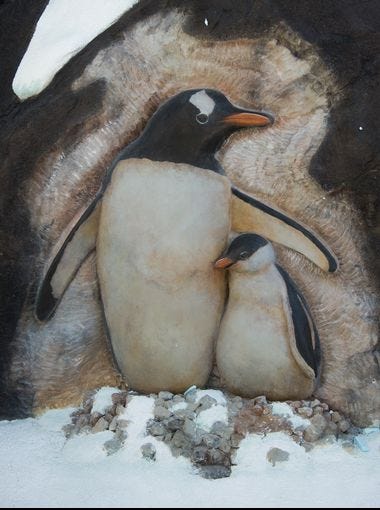 SeaWorld educators will answer guest questions about each species (carved in rock depictions), and help point out details like the pebble nesting materials used by gentoo penguins (shown here).