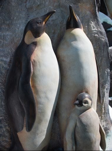 All 18 species of penguins are depicted in rock work on the penguin plaza.