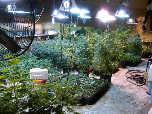 Hydrophonic marijuana and growing equipment seized from inside a Queens warehouse allegedly operated by Andrea Sanderlin, a Scarsdale, N.Y., mother of two.