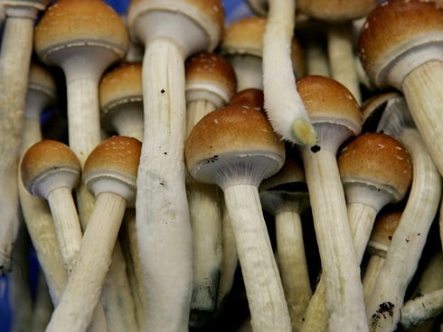 The man told investigators he picked up hallucinogenic mushrooms earlier in the day.