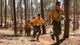 In this 2012 photo provided by the Cronkite News, members of the Granite Mountain Hotshots run during training on the use of emergency fire shelters.