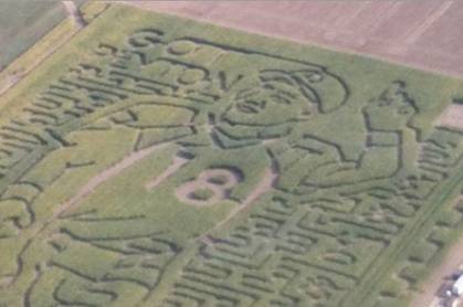 manningcornmaze-x-wide-community.JPG