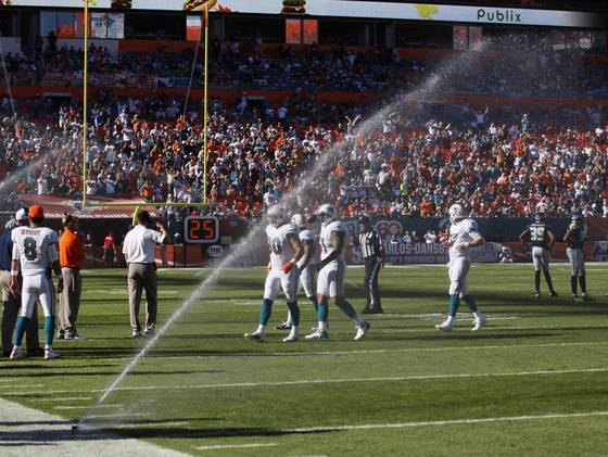 2012-11-25 Sprinklers