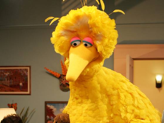 bigbird