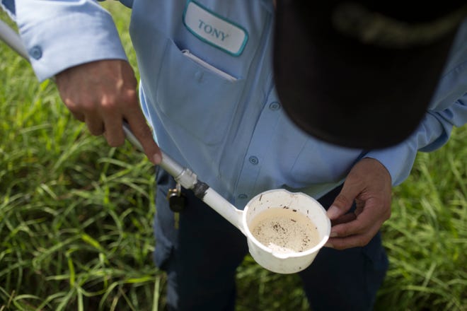 Vector Control Officer Tony Pantoja looks for mosquito larvae in the ditch at Corpus Christi Animal Control on Tuesday, September 18, 2018.