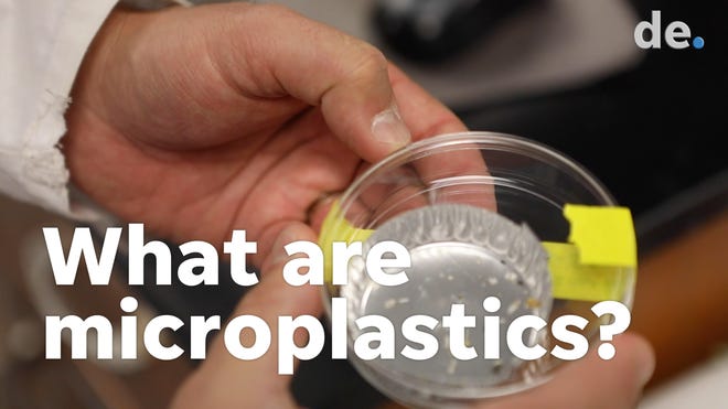Cape Cod, New Bedford salt marshes contain microplastics, study finds 1 Cape Cod, New Bedford salt marshes contain microplastics, study finds