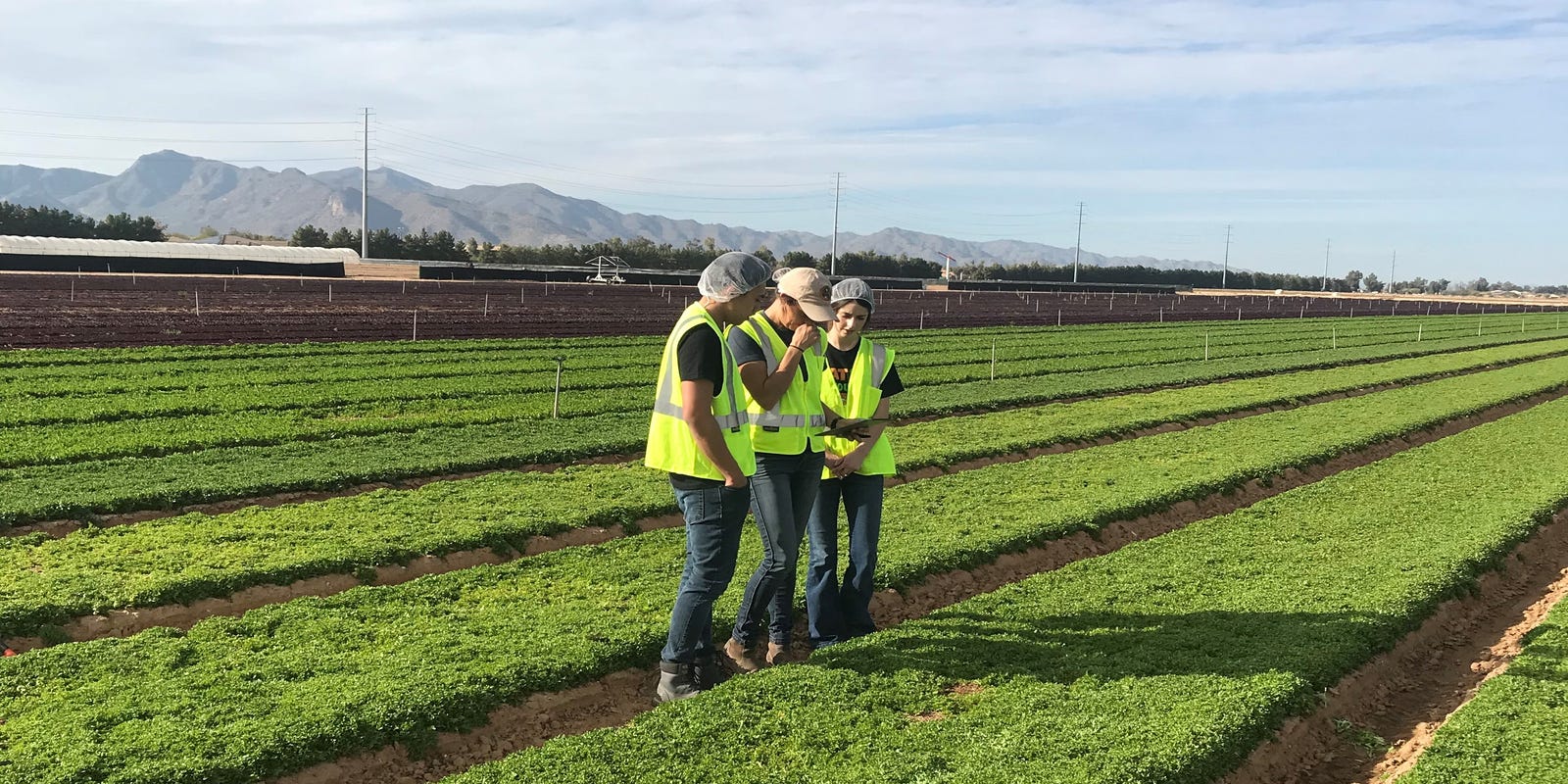 Arizona's $23 billion agriculture industry needs more young workers. This bill could help