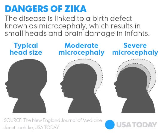 What You Need To Know About Zika And Pregnancy 