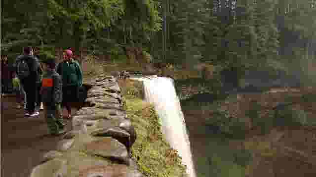 Get Outdoors In Oregon Celebrate Green Friday And Save 5 Video Green Friday At Silver Falls State Park