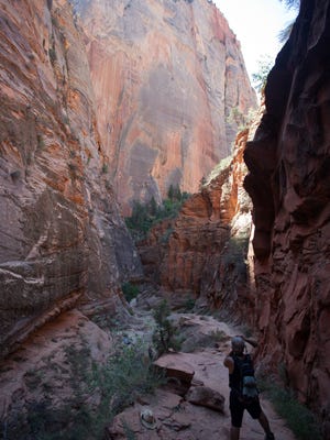 A photographer stops to shoot the canyon through which the Observation Point trail climbs in Zion National Park Wednesday, Sept. 26, 2012. In celebration of National Public Lands Day on Saturday, Zion National Park will waive entrance fees for visitors to the park. According to a press release from the park service, "National Public Lands Day is the nation's largest hands-on volunteer effort to improve and enhance public lands. Originally established in 1994, it has become an annual event that allows volunteers to be directly involved in the stewardship of public lands. Both Zion National Park and Pipe Spring National Monument will be host volunteer groups to work on projects in the parks. For more information on National Public Lands Day, please visit www.publiclandsday.org."
