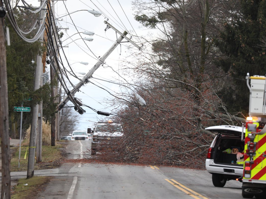 Rochester Weather What Rochesterians are saying about the wind storm