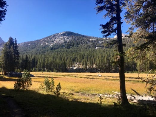 McClure Meadow is at about 9,400 feet in elevation.