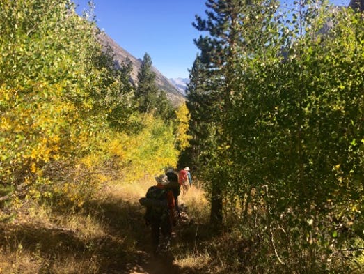 LeConte Canyon in autumn.