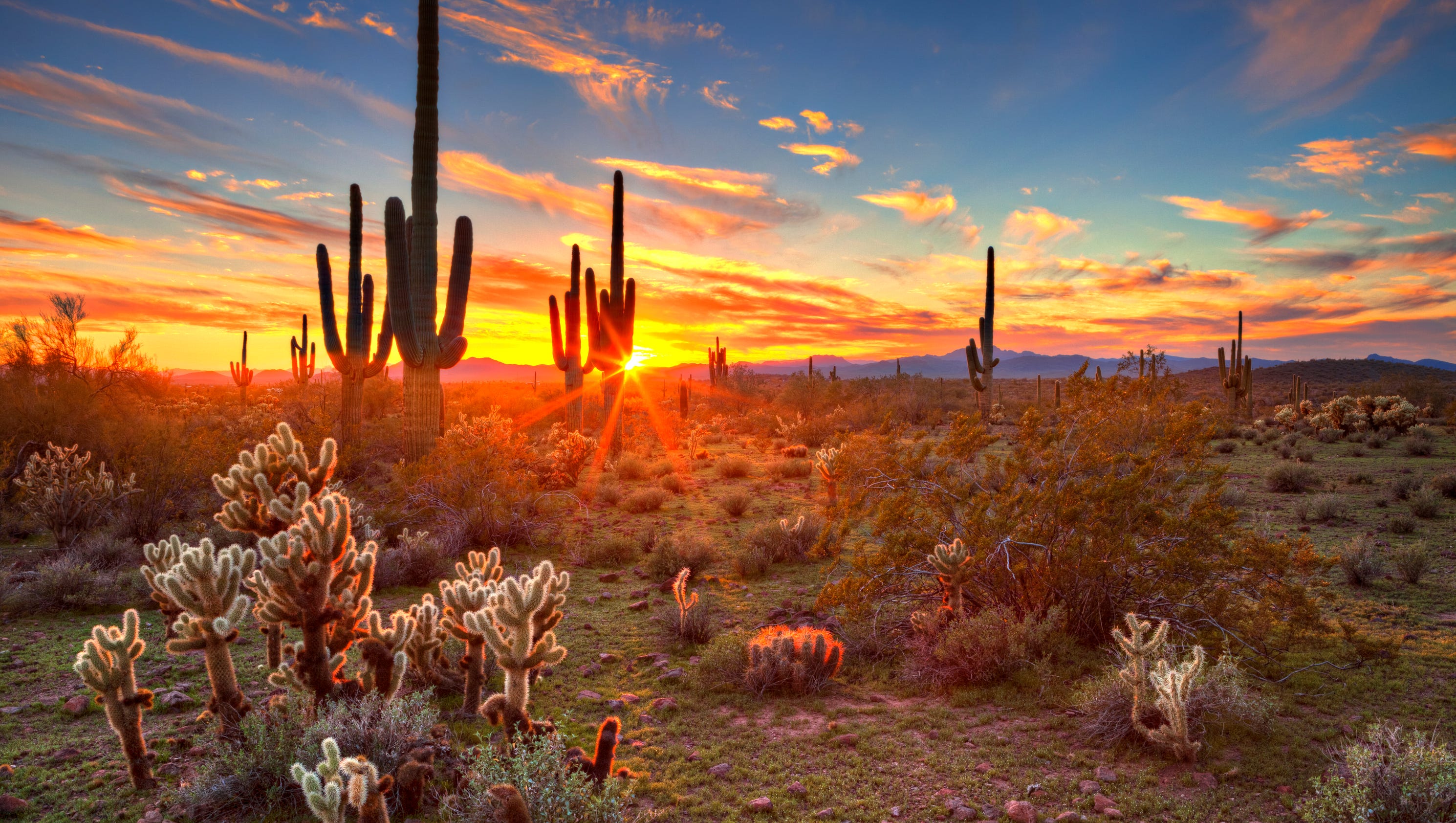 Why Arizona doesn't observe daylight saving time