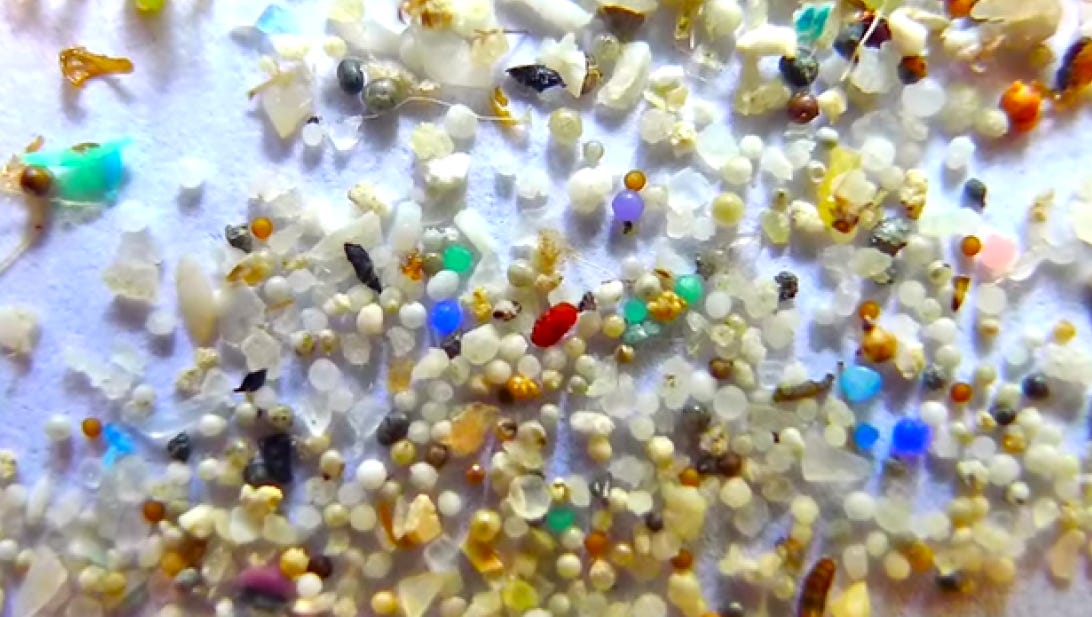 Microplastics hit home: Tennessee River among worst in the world