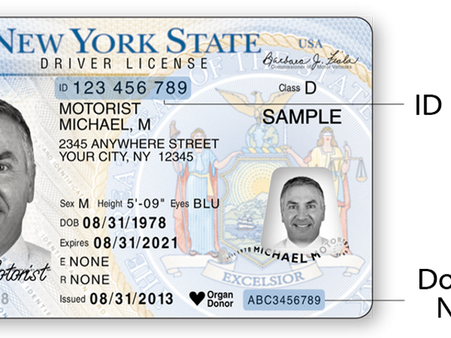 Ny Allows Print At Home Temporary Driver Licenses