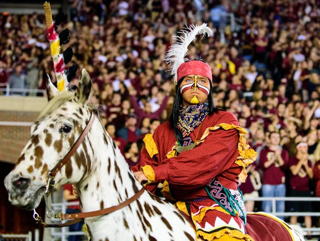 My Complicated Relationship With Our School S Mascot
