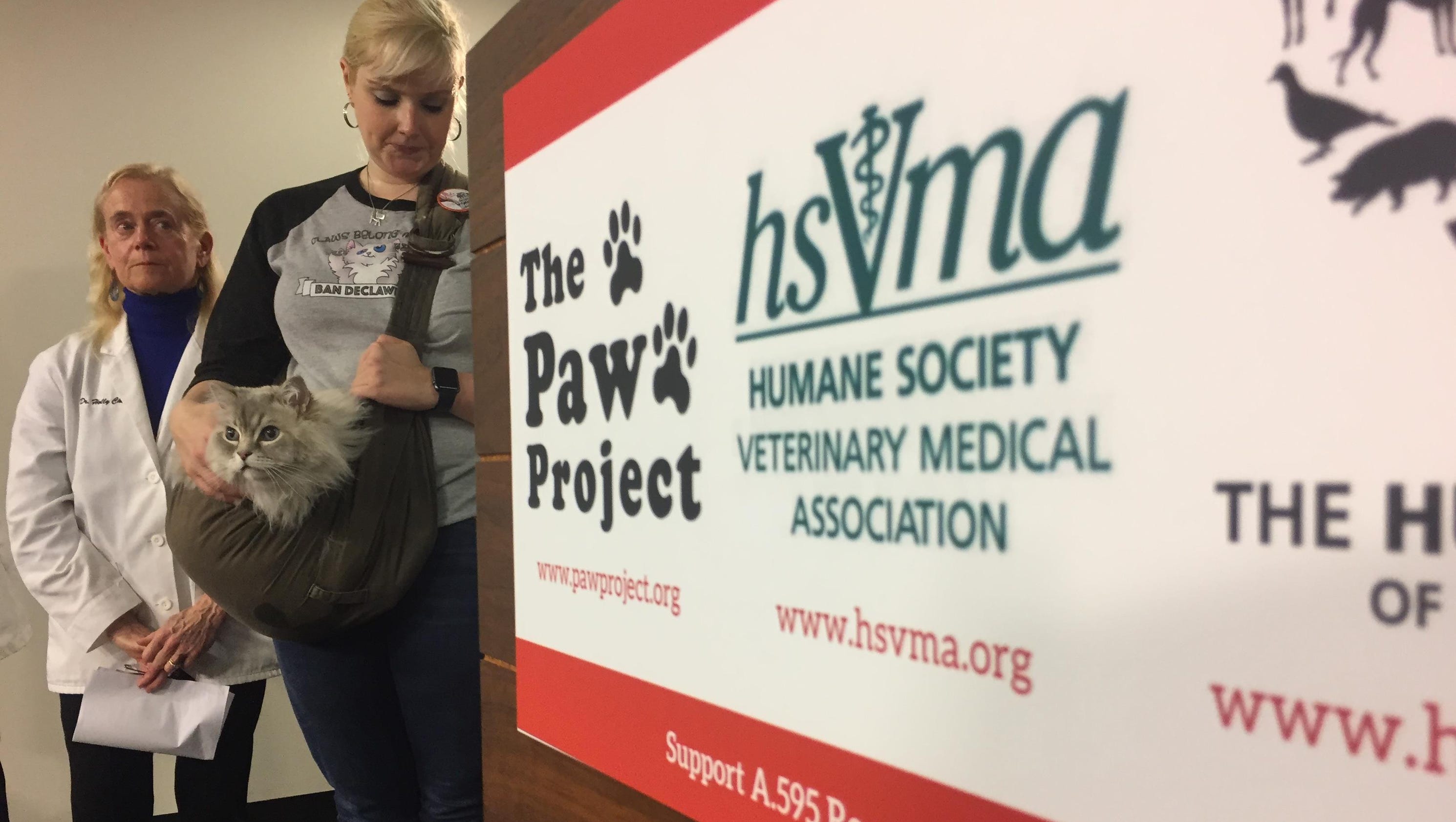 A ban on cat declawing scratches its way through Albany - The Journal News | LoHud.com