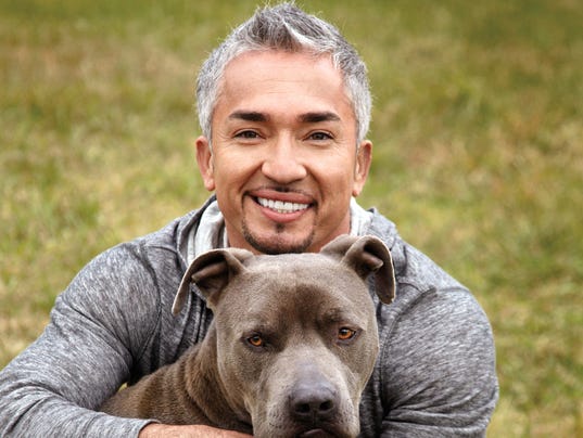 Cesar Millan on Vegas: 'I want to do the Dog Pack'