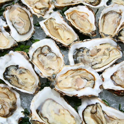 Oysters