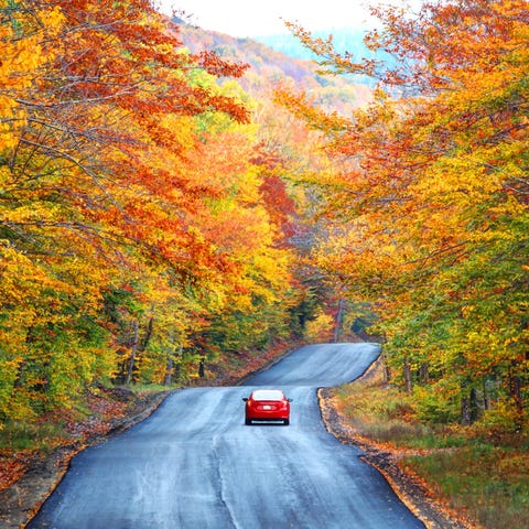 Where's your favorite place for leaf peeping?