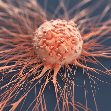Close-up of a human cancer cell.