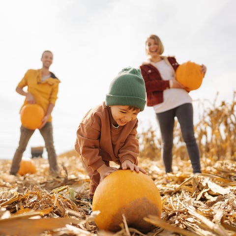These pumpkin patches will get you in the hallowee