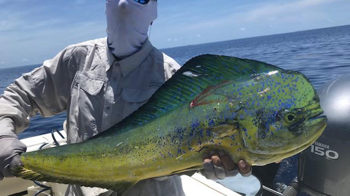South Florida Weekly Fishing Report July 16 2020