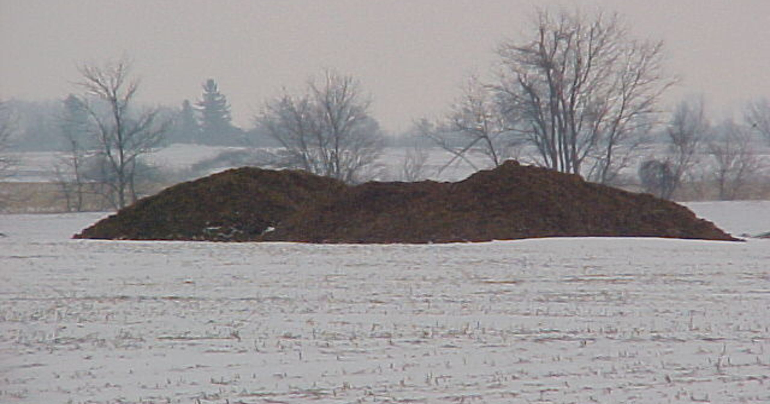 Poultry manure piles targets of complaints