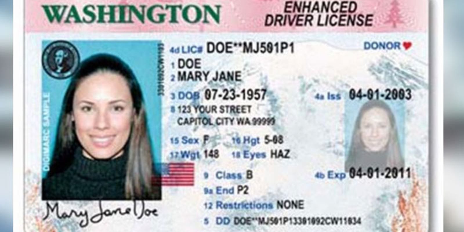 Tsa Driver License States Tsa Driver License States