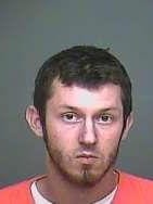 Daniel Coleman Dargavell was charged with two fifth-degree felonies for his alleged joy ride at Serpent Mound.