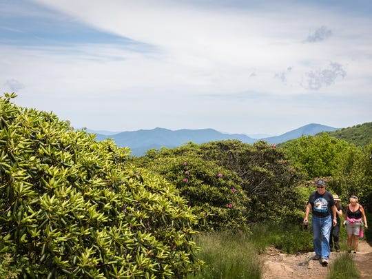 5 Best Mountaintop Hikes In Wnc To Beat The Summer Heat