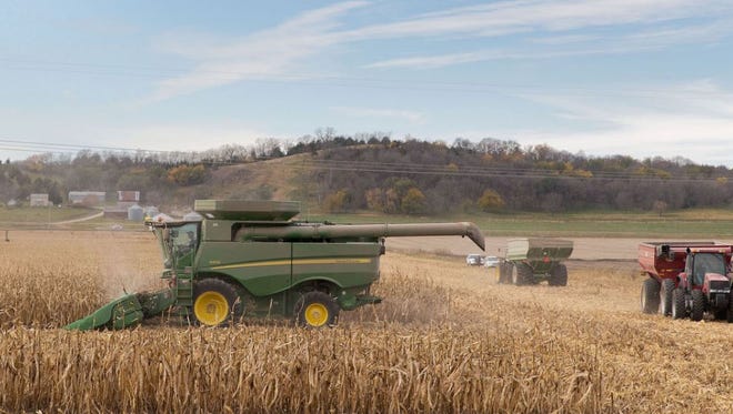 Friends and neighbors of the Burt County farmer who died while investigating an anhydrous ammonia leak gathered to harvest his corn crop.