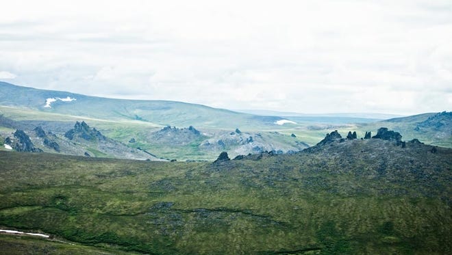 A distinct characteristic of the landscape of the Bering Land Bridge area are tor rock formations, seen scattered in this photograph.